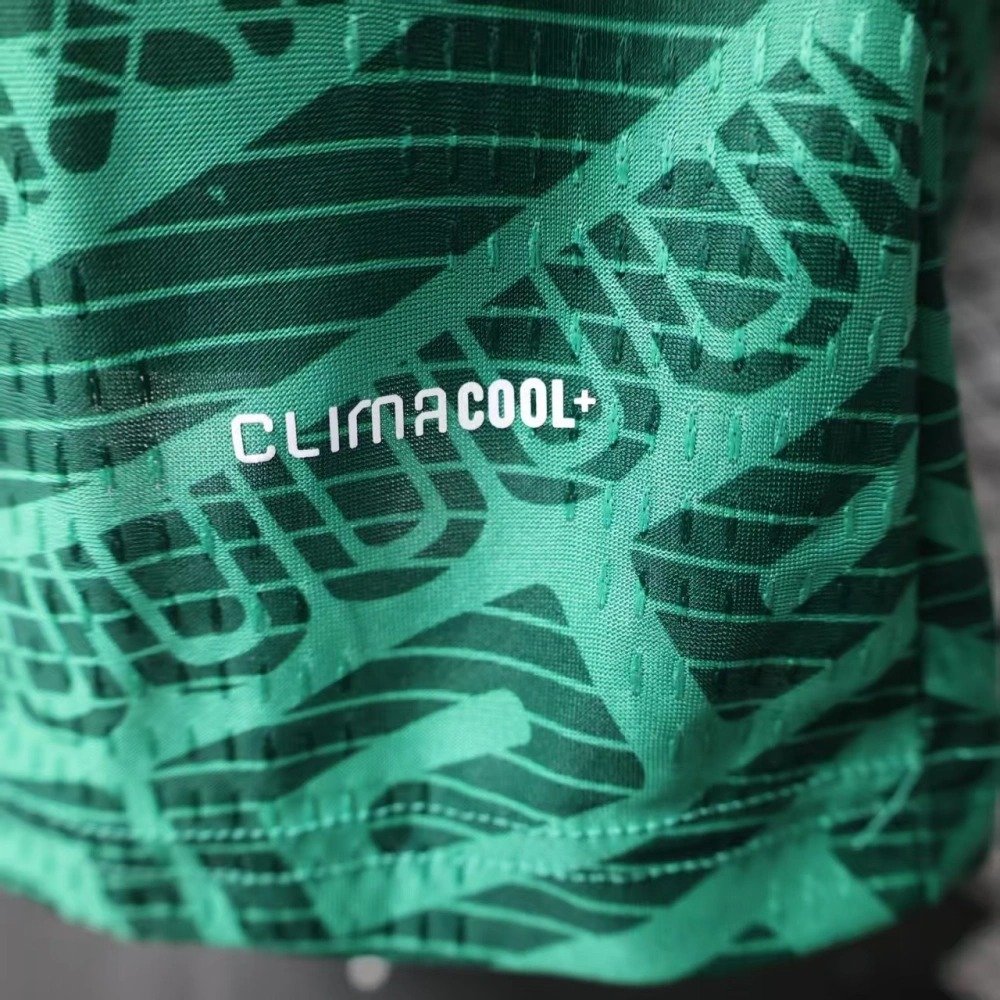 2025_2026 Mexico Home Football Shirt (Fan Edition) - Image 8