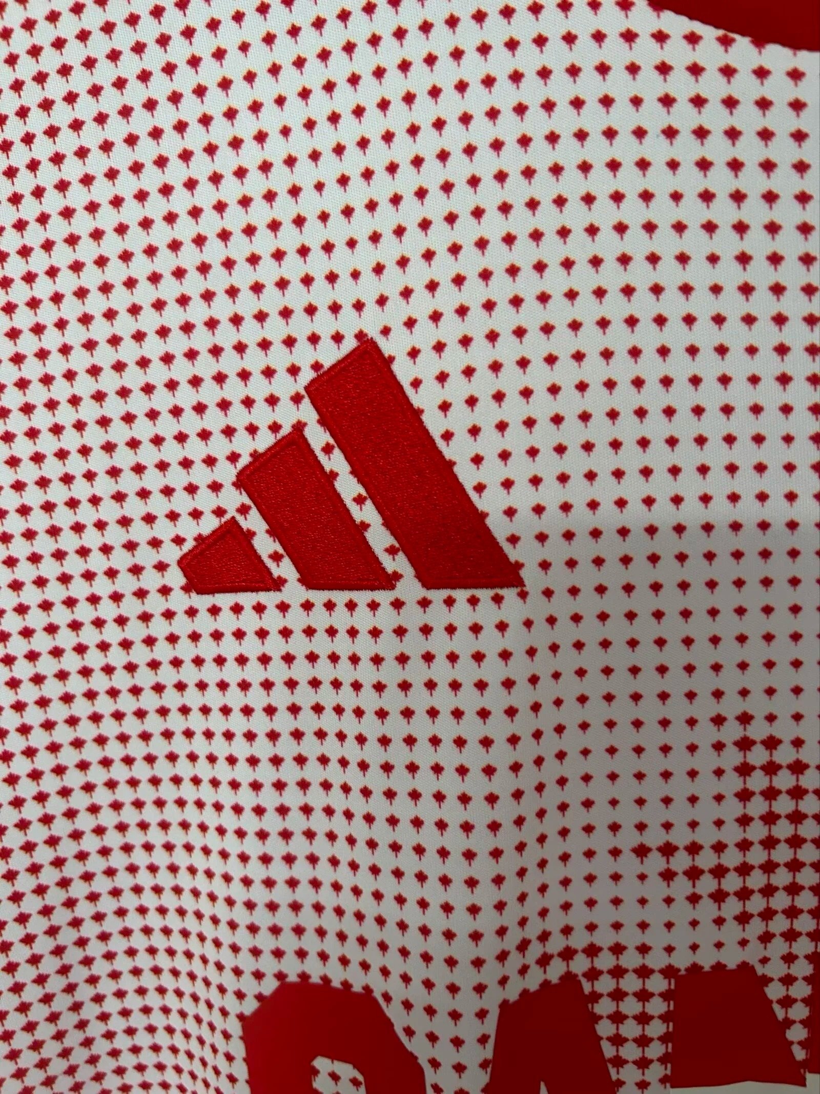 2026 US-Canada-Mexico World Cup Canada promotional clothing (Fan Edition) - Image 5