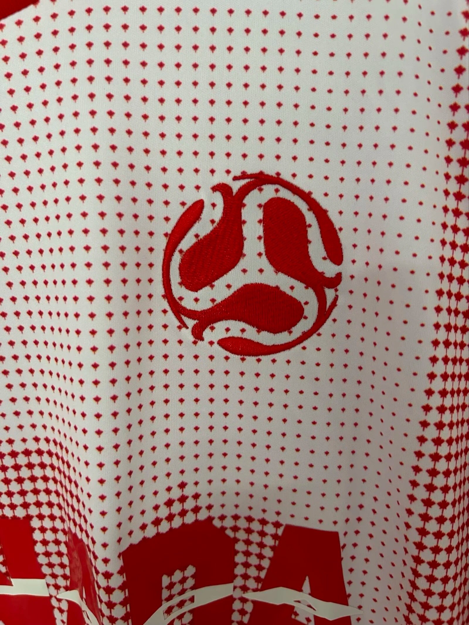2026 US-Canada-Mexico World Cup Canada promotional clothing (Fan Edition) - Image 4