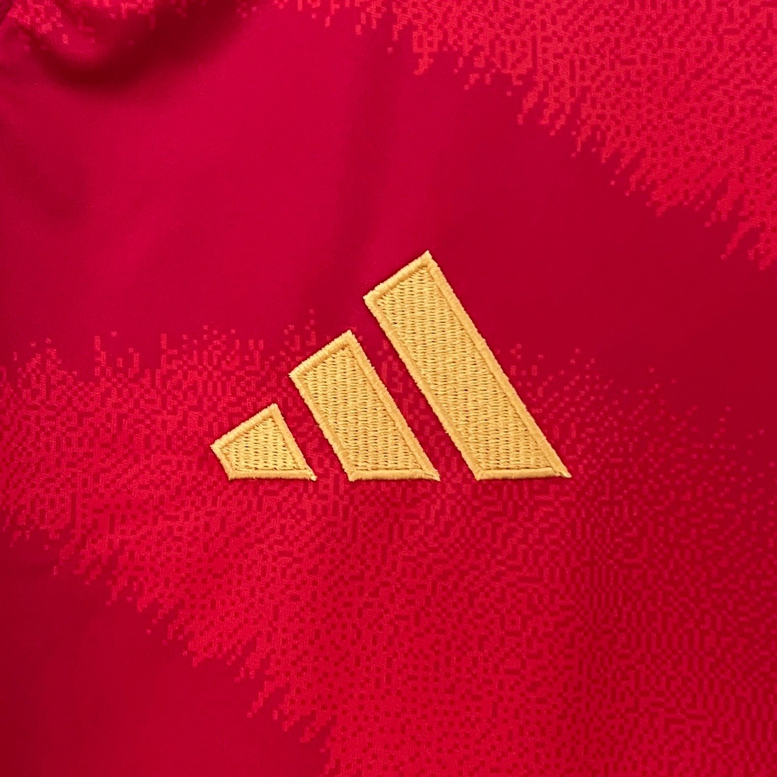 2024_2025 Spain Home Football Shirt (Fan Edition) - Image 5