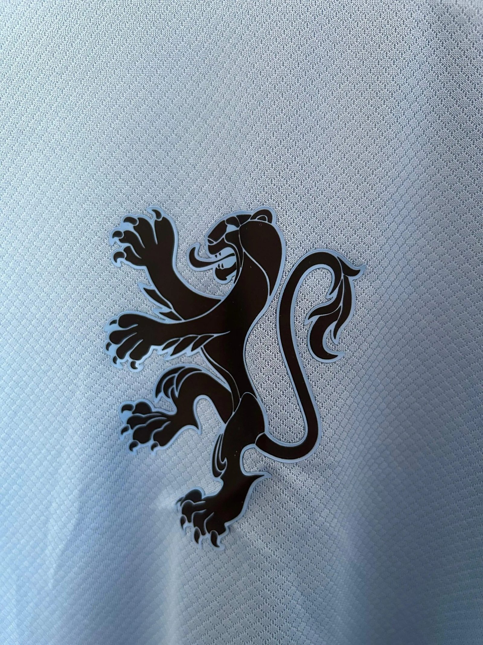 2025_2026 Netherlands Away Football Shirt (Fan Edition) - Image 4