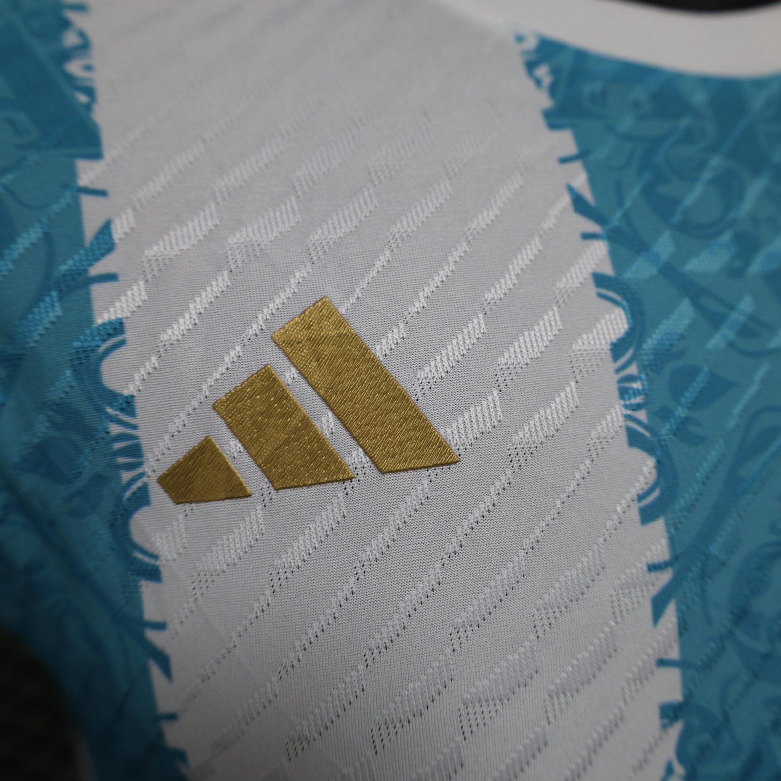2024_2025 Argentina Special Edition Football Shirt (Player Edition) - Image 8