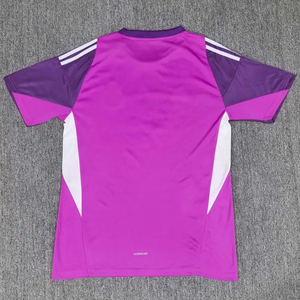 2025_2026 Argentina Goalkeeper Football Shirt (Fan Edition) - Image 2